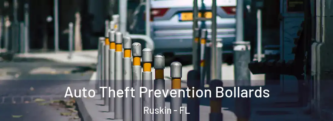  Auto Theft Prevention Bollards Ruskin - FL