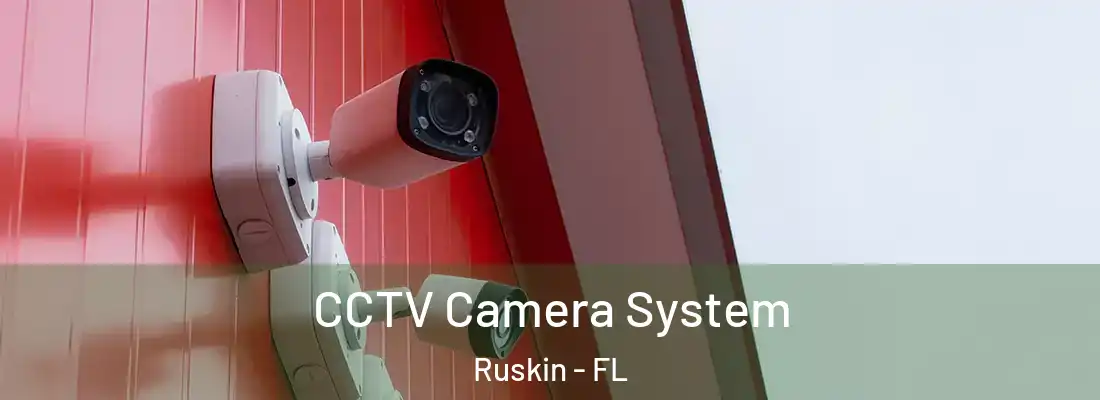 CCTV Camera System Ruskin - FL