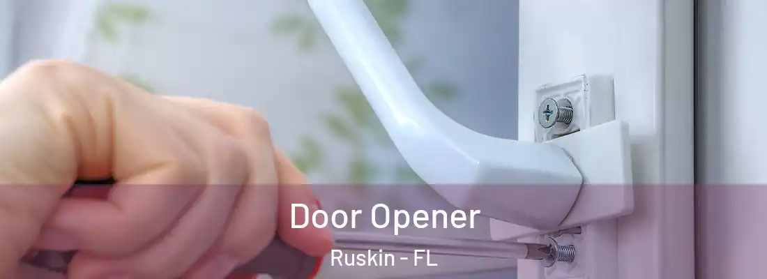  Door Opener Ruskin - FL