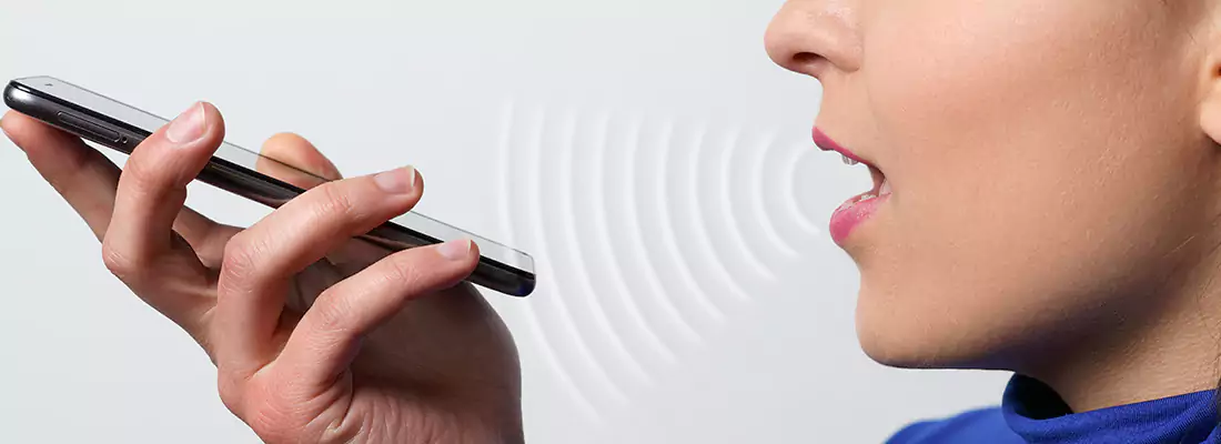 Residential and Commercial Voice Recognition Access Solutions in Ruskin, FL