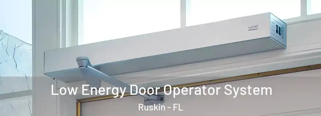  Low Energy Door Operator System Ruskin - FL