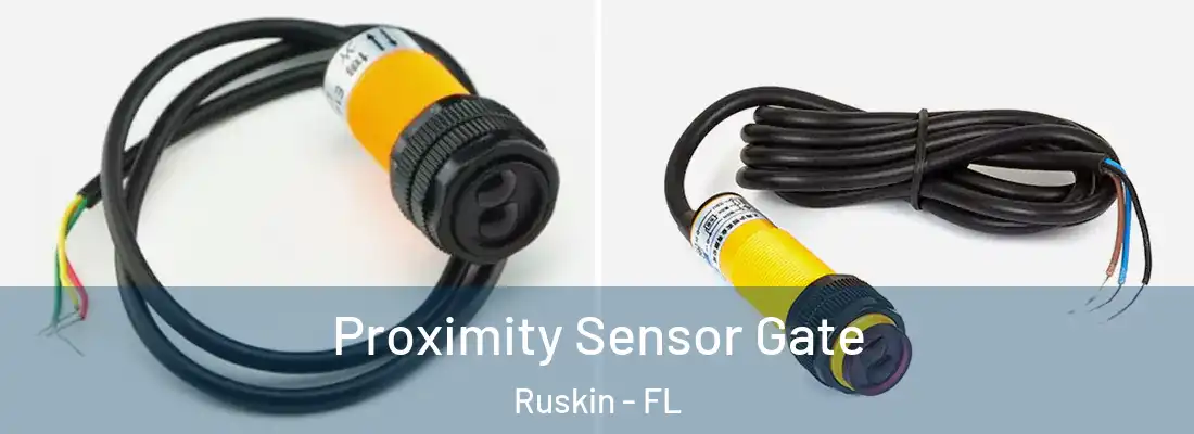 Proximity Sensor Gate Ruskin - FL